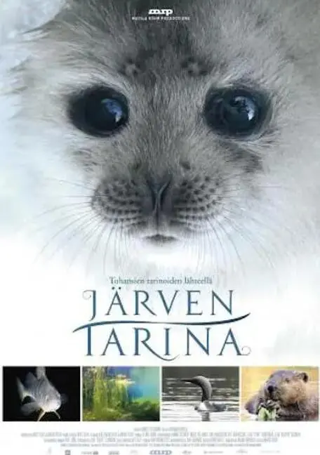 《湖泊的传说》：神秘传说下的真相，一场关于信仰与救赎的探索