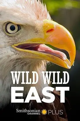 《狂野东部》：萌宠大冒险！搞笑西部之旅，剧情、角色全方位解读！