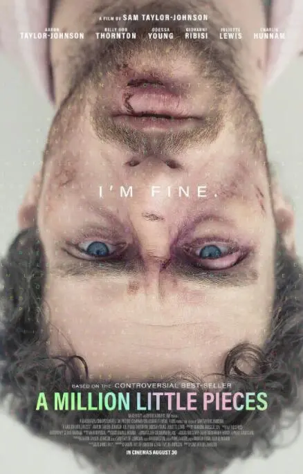 《百万碎片》：破碎的心灵，重塑的希望，一次关于救赎与重生的震撼旅程